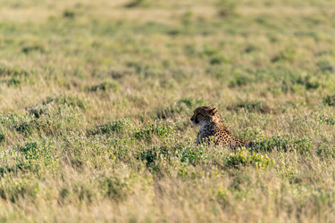 Similar image 22241814