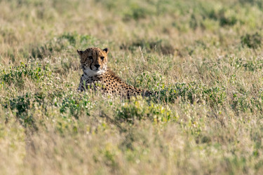 Similar image 22241815