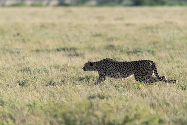 Similar image 22241816