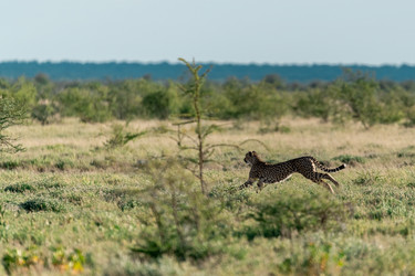 Similar image 22241818