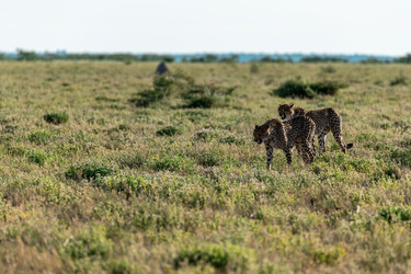 Similar image 22241819