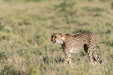 Similar image 22241823