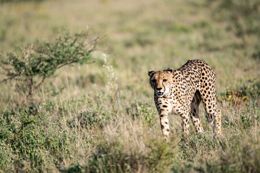 Similar image 22241824