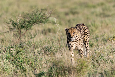 Similar image 22241825