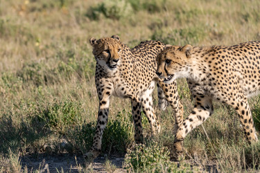 Similar image 22241829