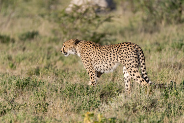 Similar image 22241832