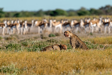 Similar image 22241834