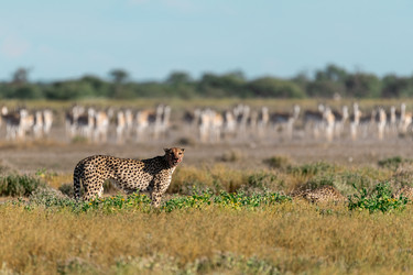 Similar image 22241842