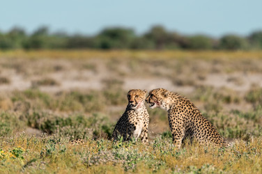 Similar image 22241848