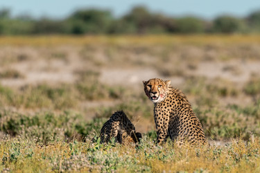 Similar image 22241852