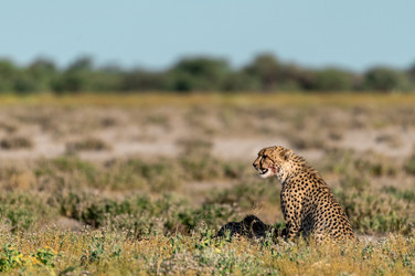 Similar image 22241853