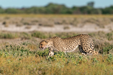 Similar image 22241854