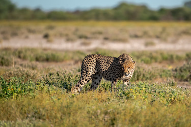 Similar image 22241857