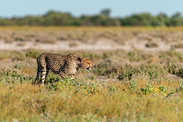 Similar image 22241858