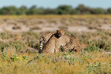 Similar image 22241859