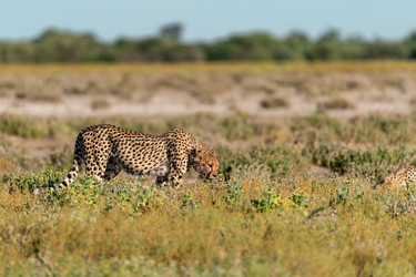 Similar image 22241862