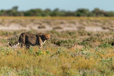 Similar image 22241863