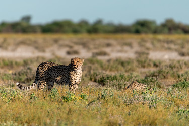 Similar image 22241865