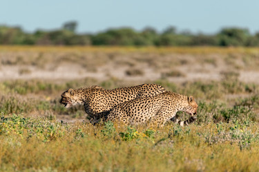 Similar image 22241866