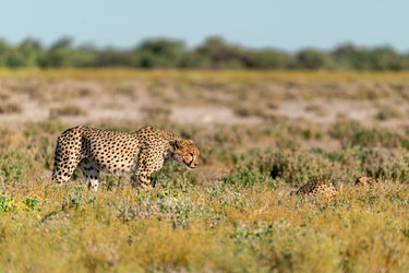 Similar image 22241871