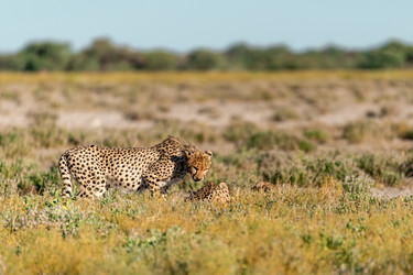 Similar image 22241873