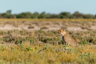 Similar image 22241874