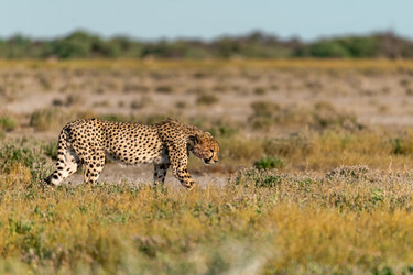 Similar image 22241877