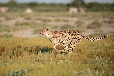 Similar image 22241878