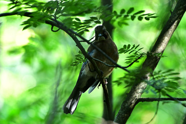 Similar image 22244958