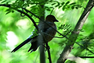 Similar image 22244959