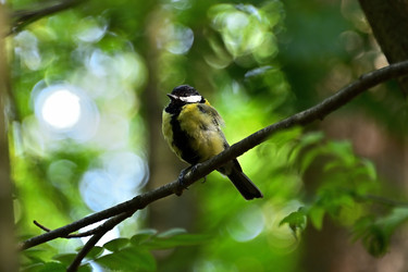 Similar image 22244960