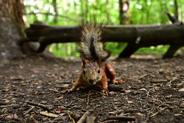 Similar image 22244961