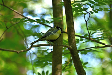 Similar image 22244962