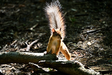 Similar image 22244963