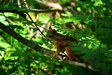 Similar image 22244965