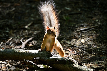 Similar image 22244966