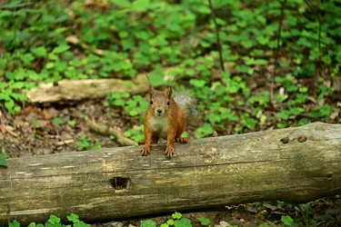 Similar image 22244967