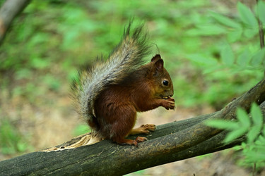 Similar image 22244968