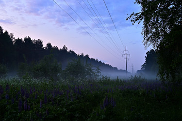 Similar image 22244969