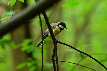 Similar image 22244970