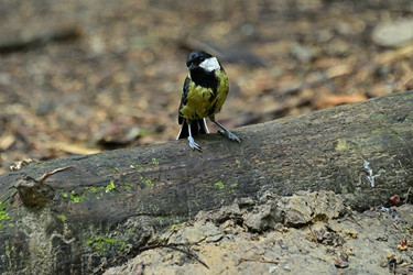 Similar image 22244971