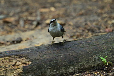 Similar image 22244972