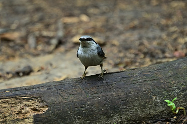 Similar image 22244973