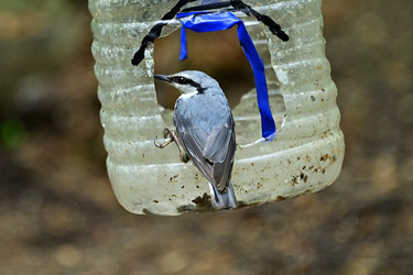 Similar image 22244975