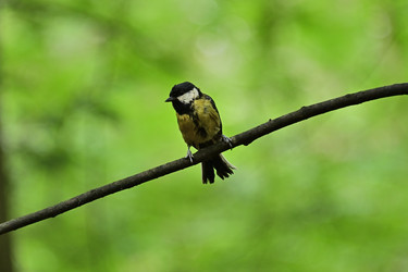 Similar image 22244976