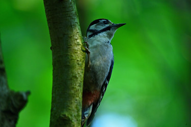 Similar image 22244977