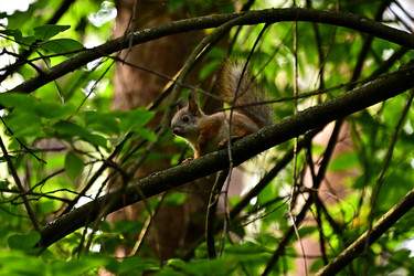 Similar image 22244978