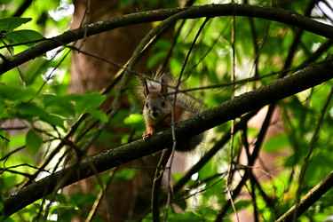 Similar image 22244979