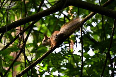 Similar image 22244980