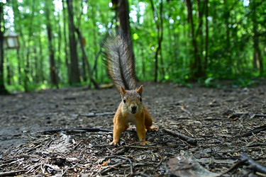 Similar image 22244982